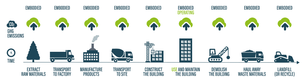 A graphic showing the different kinds of embodied carbon and operational carbon