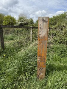 Biodiversity and Net Gain
